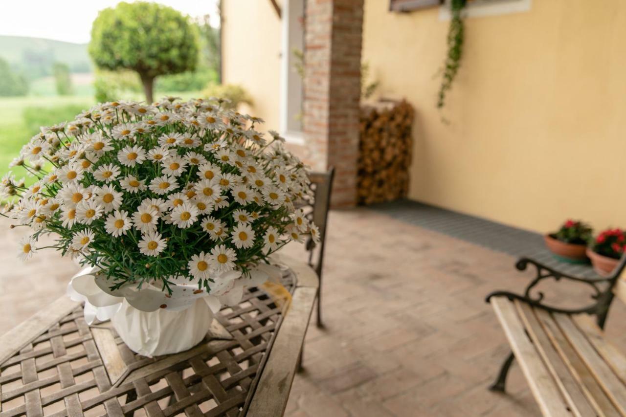 Ferienwohnung La Casa In Collina Alba  Exterior foto